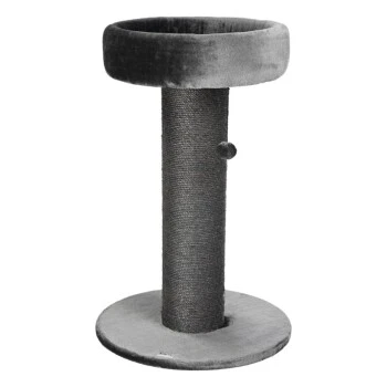 AniOne Kratzbaum Mary 1 AniOne Kratzbaum Mary