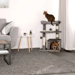 Lionto Kratzbaum, Höhe 75 Cm Dunkelgrau 9 Lionto Kratzbaum, Höhe 75 Cm Dunkelgrau -ROYAL CANIN Verkaufsgeschäft 93538dd92015274a424fbe418a728d711bf35ee4 1657050 de DE cdf2aedfa5f00533ccf45fdd95fec703142abcfaEAr6hi