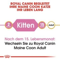 ROYAL CANIN Maine Coon Kitten 4 Kg 10 ROYAL CANIN Maine Coon Kitten 4 Kg -ROYAL CANIN Verkaufsgeschäft 9494efda15798aa930f4c836c086824869519e76 d153c89f98a812830b790602e2c1dd84504c30b9