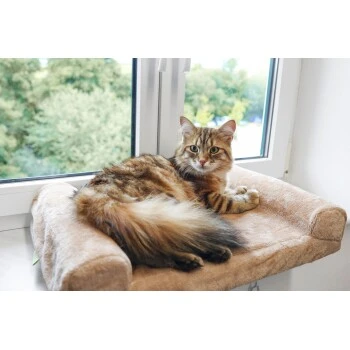 Kerbl Fensterliegebrett 2 Kerbl Fensterliegebrett – Bild 2