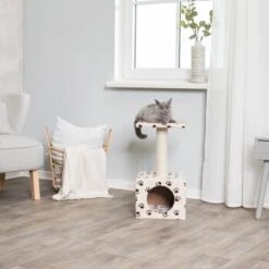 Trixie Kratzbaum Zamora Cat Paws -ROYAL CANIN Verkaufsgeschäft 9ed9306b3f70bbbb75e24ede72d139e1f53724d2 174165cf4bdac761770818865a5fc15c92e12097