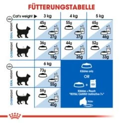 ROYAL CANIN Indoor 7+ 3,5 Kg 12 ROYAL CANIN Indoor 7+ 3,5 Kg -ROYAL CANIN Verkaufsgeschäft a607bc8cb63704aa662698fe355ecbb77096e7a5 fab27e5960ddaac4499a4a76a805f1d72f96d8ef