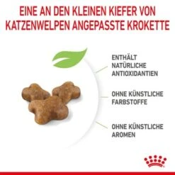 ROYAL CANIN Kitten 4 Kg -ROYAL CANIN Verkaufsgeschäft a8df74b6725246cc1c5fa7ed87e8fdc0a4cfc24f 3182550702973 6
