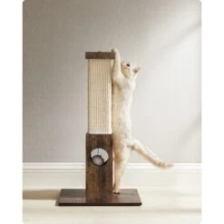 FEANDREA Katzenkratzbaum Kratzsäule 73cm -ROYAL CANIN Verkaufsgeschäft afbefab3604e8632d8d3b0ac2984cf11486bebb9 1483578 de DE 25cbe014fa5e116e32000821bdc433836cd1464b1FjbTJ