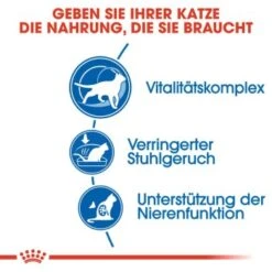 ROYAL CANIN Indoor 7+ 3,5 Kg 14 ROYAL CANIN Indoor 7+ 3,5 Kg -ROYAL CANIN Verkaufsgeschäft b15b3a341edb82d3b0b2fbcdfa1085a485519ef2 8029a12bcb04e5bfd8b7a4d93e4a2c997c8d2856