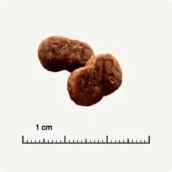 SELECT GOLD Hair+Skin Senior Geflügel & Lachs 2,5 Kg -ROYAL CANIN Verkaufsgeschäft b42128ae83c41454d6be7d6047b7c0aaed5f051a 1001086011 de DE 6