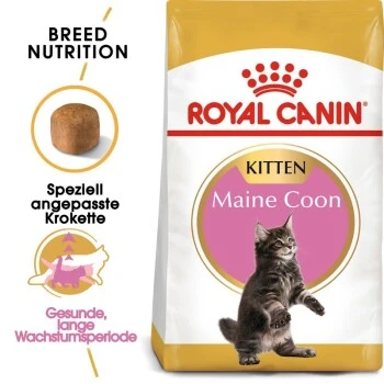 ROYAL CANIN Maine Coon Kitten 4 Kg 1 ROYAL CANIN Maine Coon Kitten 4 Kg