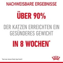 ROYAL CANIN Light Weight Care 8 Kg -ROYAL CANIN Verkaufsgeschäft b702863cfb66ffcd9a58e41e369f14387f6c50b9 1332703 3