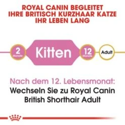 ROYAL CANIN British Shorthair Kitten 2 Kg 10 ROYAL CANIN British Shorthair Kitten 2 Kg -ROYAL CANIN Verkaufsgeschäft b9dcf6abb7a4919bf6fc18b953f6e6aa3597ecf5 b5fbd35505db68c05c613e1187818406628392a1