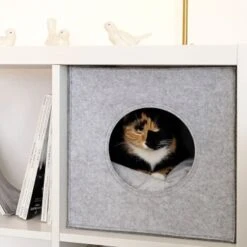 Lionto Katzenhöhle Aus Filz + Kissen - Regalhöhle Hellgrau -ROYAL CANIN Verkaufsgeschäft ba38cb426515f287554cca1376691e8fc1f2c06c 1657087 de DE 1787a06f3e708c0b40c07cda94f11d1c11828f21AhrPBZ