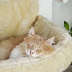 Schlitzohr Heizungsliege Lucky Beige -ROYAL CANIN Verkaufsgeschäft bdc02033928d033279e49ebefe91371e629dfd2f 1484673 de DE 4daf09016934a9074c92f48c173e840fa6385a4agwWEjb