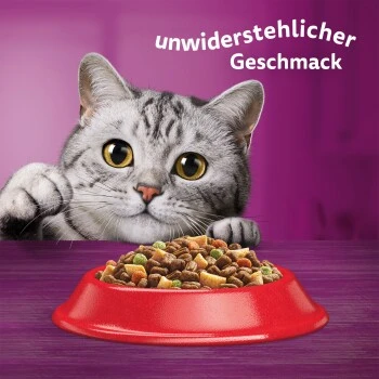 Whiskas Beutel 1+ Mit Rind 3,8kg – Bild 8