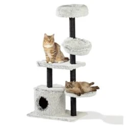 Silvio Design Katzenbaum Lia 18 Silvio Design Katzenbaum Lia -ROYAL CANIN Verkaufsgeschäft c81df2c7cf1859fad171491105b6c7f17ec56689 ca032ae2d9d19e79be2dadb05575650e9b4d0ebe