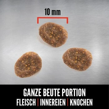 Orijen Six Fish Cat 1,8 Kg 2 Orijen Six Fish Cat 1,8 Kg – Bild 2