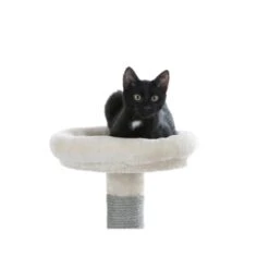 Kerbl Kratzbaum Creative Adventure -ROYAL CANIN Verkaufsgeschäft cd831c82afd6be187c9e1aebf4a78e2ebe782c44 ce7c27aa5a680126ca08b882797ce2b921ff7a47