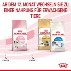 ROYAL CANIN Kitten 4 Kg -ROYAL CANIN Verkaufsgeschäft cf133300f1a1c045b6143772211651d61c06ad62 3182550702973 7