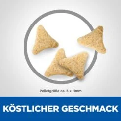 Hill's Science Plan Hairball Indoor Adult Mit Huhn 3 Kg 13 Hill's Science Plan Hairball Indoor Adult Mit Huhn 3 Kg -ROYAL CANIN Verkaufsgeschäft d22915eed5f581b2aadd8692cf33e6afbd622437 52742024011 6