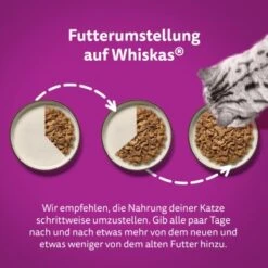 Whiskas Jumbo Pack 1+ Klassische Auswahl In Sauce 80 X 85g -ROYAL CANIN Verkaufsgeschäft d4a10e93e112b778db6dd9de528bb9a16bfc7dd8 1410721 de DE Whiskas 4