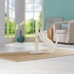 AniOne Kratzsäule Pepe&Kitty 7 AniOne Kratzsäule Pepe&Kitty -ROYAL CANIN Verkaufsgeschäft d5701c6c4622e5291ba55a46423a44f2481c56c2 484c1f099650b6711f02ae3db97410a6f9af5da0