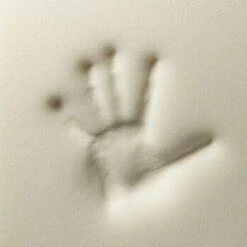 ROYAL CANIN Verkaufsgeschäft -ROYAL CANIN Verkaufsgeschäft d89d5b6f50430f96eb3dfe0b37377735b0ca4870 1478508 de DE 4a05f204198aead29f7c6fcb2b828fd649f99213W8zvJB