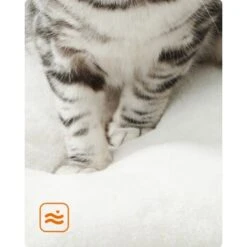 FEANDREA Katzenmöbel 138cm Modern -ROYAL CANIN Verkaufsgeschäft dd5b79884e43283363cfe546c09a94b866348efb 1483576 de DE d0d31c8def7406dd1b0e19692dff9bc5fdc7392elR6n8N