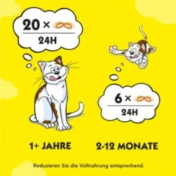 Dreamies Snack-Vielfalt 12x60g -ROYAL CANIN Verkaufsgeschäft e1b190f4f53100ff83c0fb6481ba747fb1f78bad 1297459 2