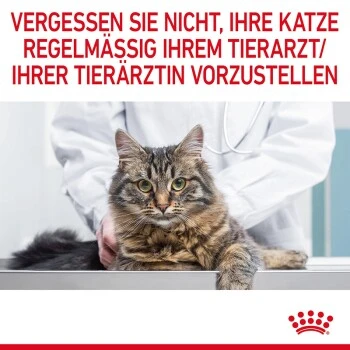 ROYAL CANIN Appetite Control Care 12 X 85 G 10 ROYAL CANIN Appetite Control Care 12 X 85 G – Bild 10