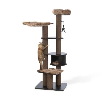 MORE Kratzbaum Harry 1 MORE Kratzbaum Harry