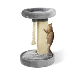 MORE Kratzbaum Bente 14 MORE Kratzbaum Bente -ROYAL CANIN Verkaufsgeschäft e9b2f106fd5166a39ac6fc361f4a0c914a27a18c e3dce24ee9bad6c267aa9c1b35023714eb90889e