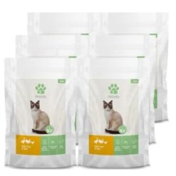 Fellicita Huhn, Pute & Gans 6x 295g Frischebeutel -ROYAL CANIN Verkaufsgeschäft ec62a09c305782b61efdc1306822d13428dc99dc 1451612 de DE ce2b2f099ce0404186925c9f261a6553e1af3831FduxLH