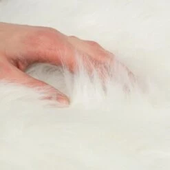 Canadian Cat Company Filzlounge AVA Beige M -ROYAL CANIN Verkaufsgeschäft fd8b746ad0dc996bb62efc39f6c670f6be8df30e 1360999 de DE c86a4e6d9ceba2c1e55f3f753eeda095c89215723XoDPL