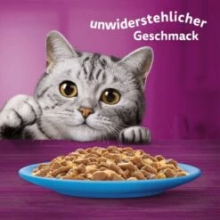 Whiskas Jumbo Pack 1+ Fisch Auswahl In Gelee 80 X 85g -ROYAL CANIN Verkaufsgeschäft fec7c318dfc6872c65e754a2b3bf40ee0b91811b 1410724 de DE Whiskas 6